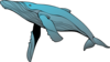 Blue Whale Clip Art